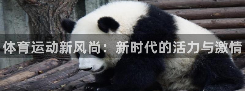 3377体育官方正版app娱乐网站