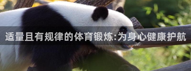 3377体育官方正版app娱乐首页网站大全：适量且有