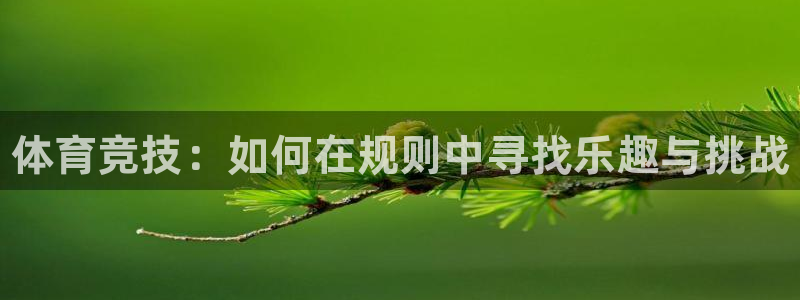 3377体育官方正版app集团官网首页网址：体育竞技