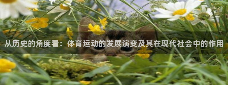 3377体育官网下载平台注册要钱吗是真的吗：从历史的