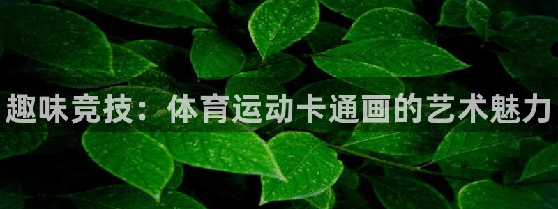 3377体育官方集团官网：趣味竞技：体育运动卡通画的