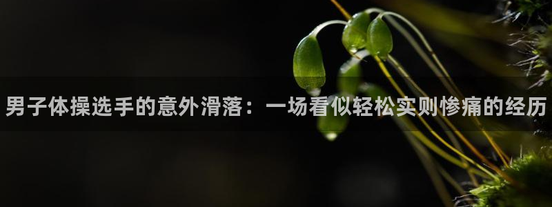 3377体育官方正版app娱乐网站：男子体操选手的意