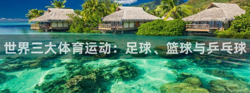 3377体育官网下载是干嘛的公司：世界三大体育运动：