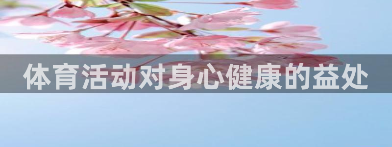 3377体育官方正版app集团E.ON