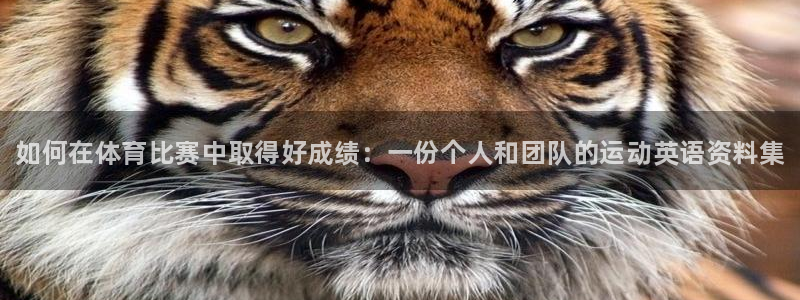 3377体育官方正版app官方：如何在体育比赛中取得好成绩：