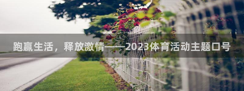 3377体育官方正版app娱乐：跑赢生活，释放激情——202