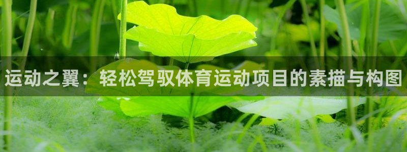 3377体育官方正版app官网：运动之翼：轻松驾驭体育运动项