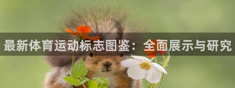 3377体育官方正版app娱乐网站：最新体育运动标志图鉴：全