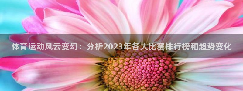 3377体育官网下载招商：体育运动风云变幻：分析2023年各
