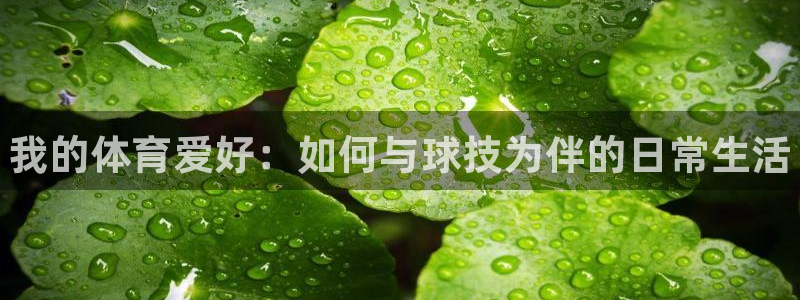 注册3377体育官方正版app：我的体育爱好：如何与