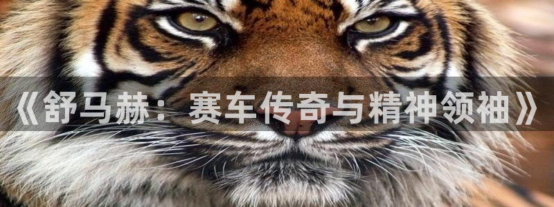3377体育官方正版app集团logo：《舒马赫：赛