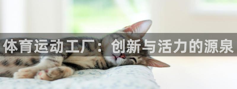 3377体育官网下载平台是正规平台吗