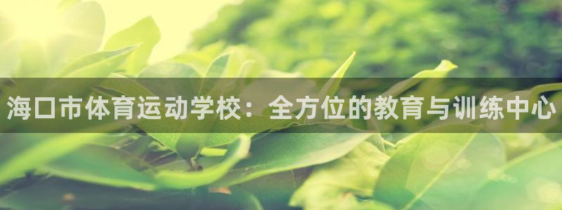 3377体育官网下载招商电话号码查询