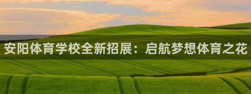 3377体育官方正版app娱乐首页网站大全