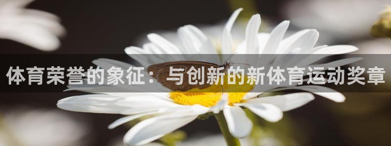 3377体育官方正版app集团简介
