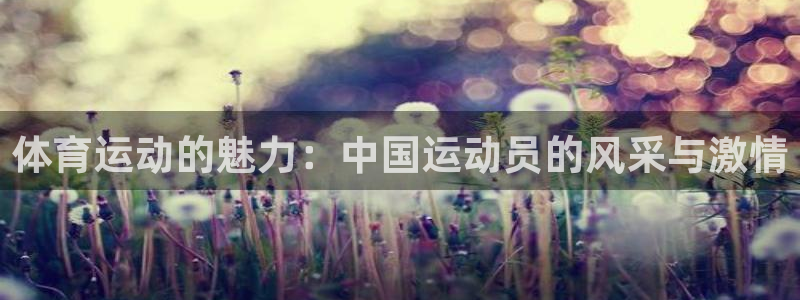 3377体育官网下载平台注册要钱吗：体育运动的魅力：