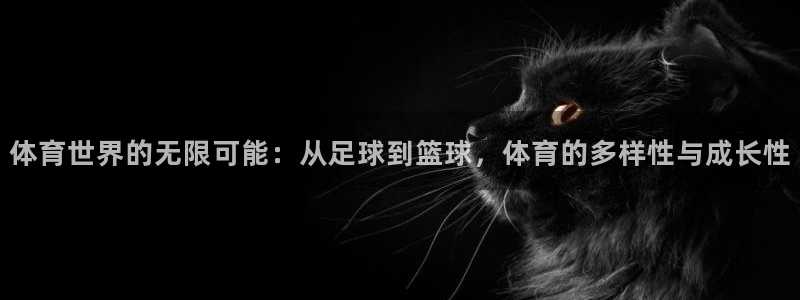 3377体育官方正版app娱乐平台