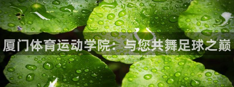 3377体育官方正版app官方
