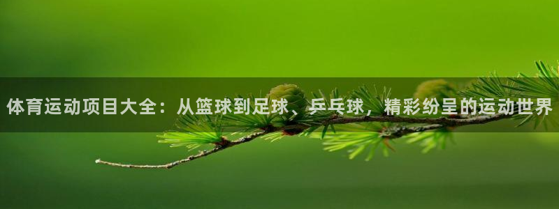 3377体育官网下载平台是正规平台吗知乎