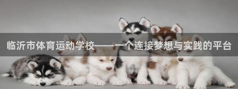 德国3377体育官方正版app集团