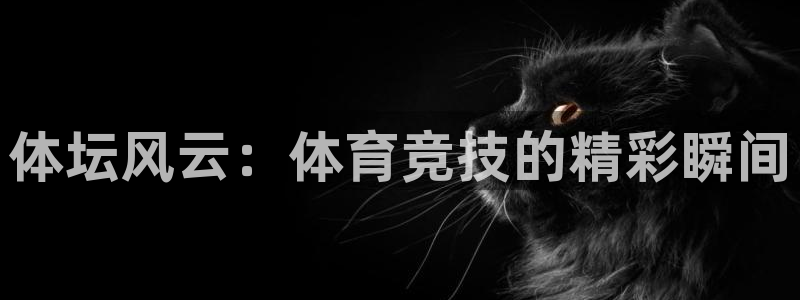 3377体育官网下载招商电话号码：体坛风云：体育竞技的精彩瞬
