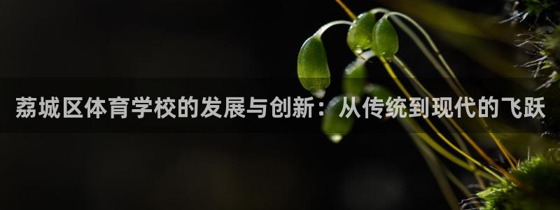 3377体育官网下载招商电话是多少号码：荔城区体育学