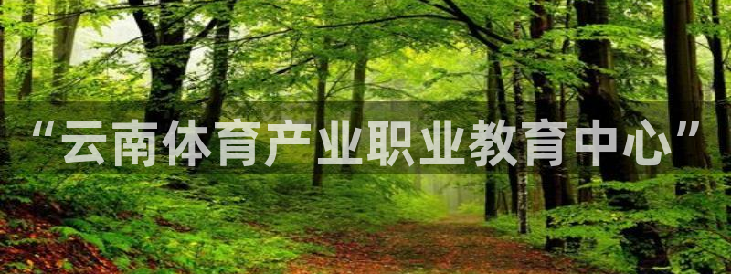 3377体育官方正版app神州