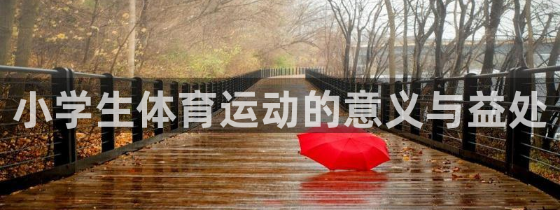 3377体育官方正版app集团官网首页网址