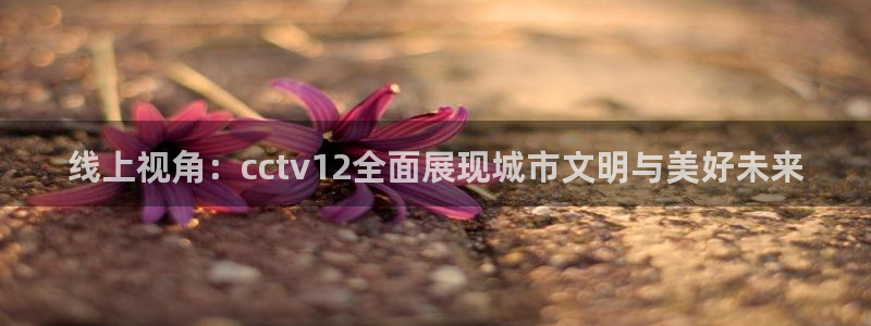 极速体育视频直播：线上视角：cctv12全面展现城市文明与美好未来