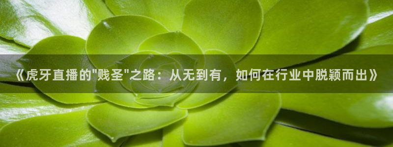 极速足球体育直播：《虎牙直播的\