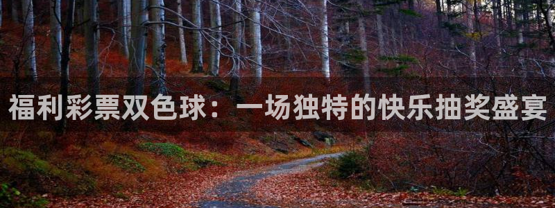 足球极速直播吧：福利彩票双色球：一场独特的快乐抽奖盛宴