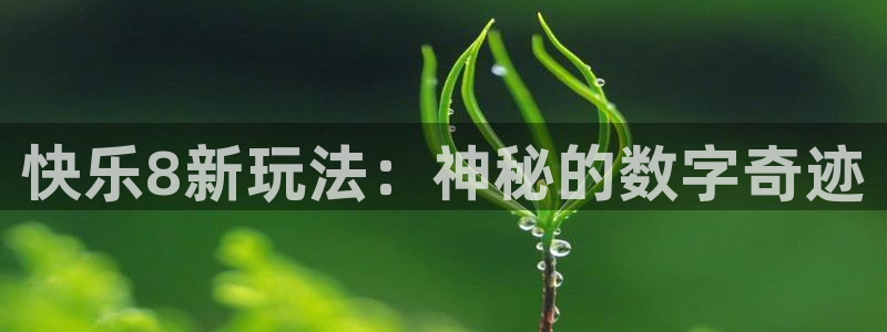 极速足球直播网：快乐8新玩法：神秘的数字奇迹